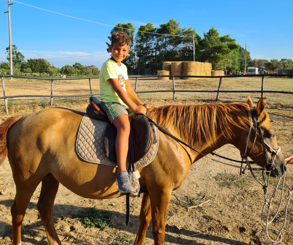 equitazione-carousel